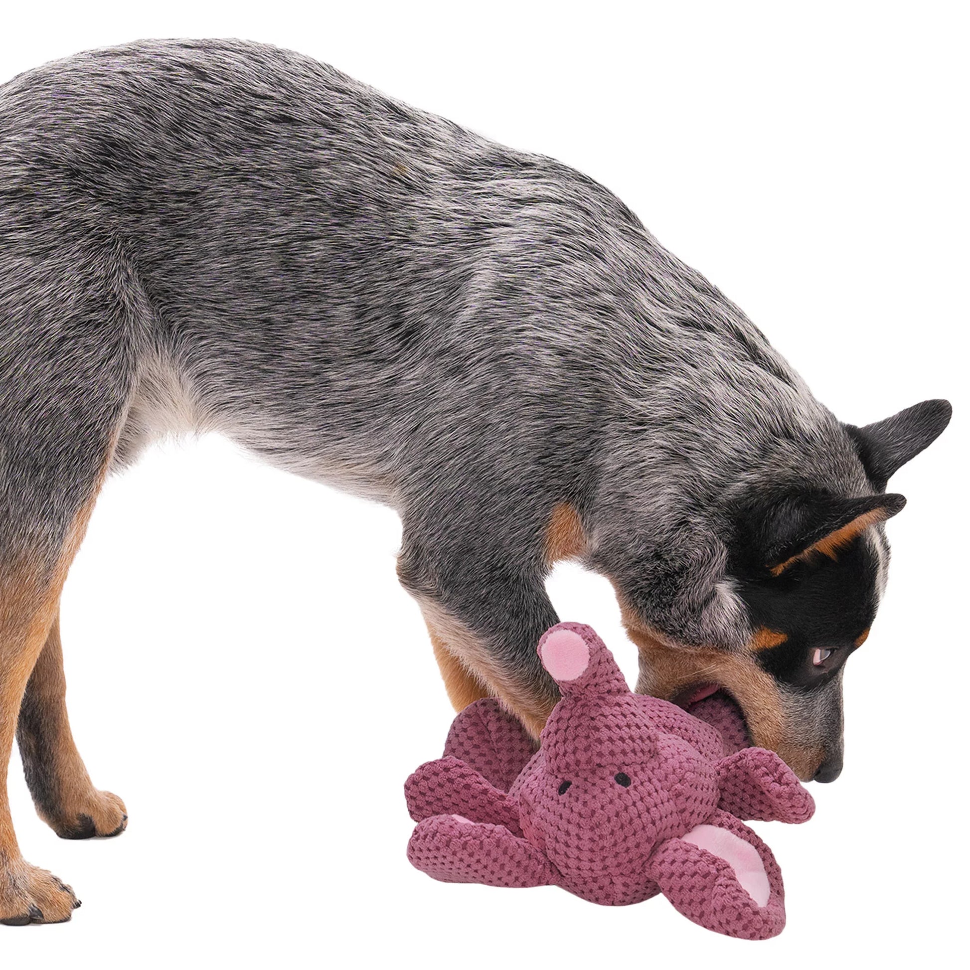 Checkers Elephant Squeaky Plush Dog Toy, Chew Guard Technology - Violet, Large