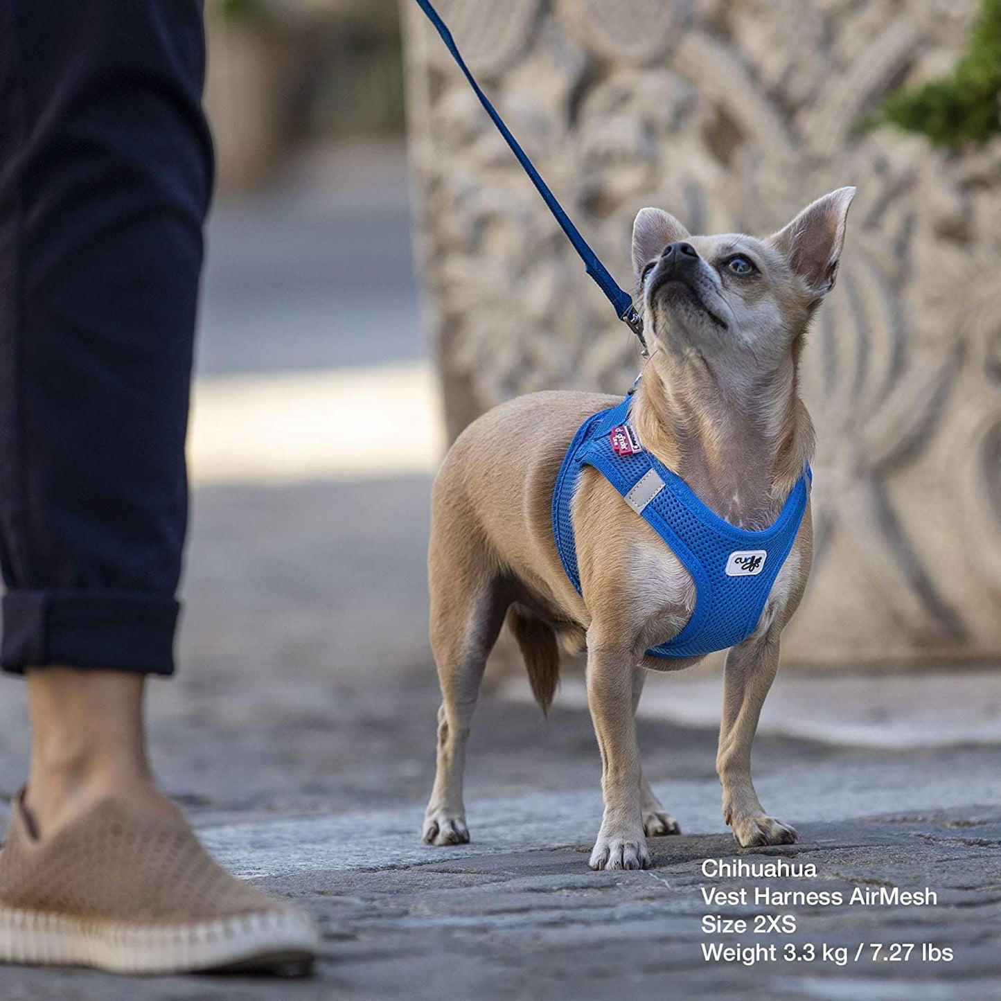 Air Mesh Harness in Blue - Size Large