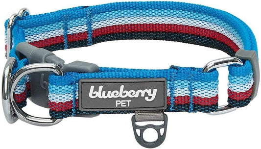 3M Reflective Dog Collars | Adjustable Dog Collar W/Multi-Colored Stripe - Azure Blue and Raspberry Red | Nylon Pet Collars for Dogs & Refflective Dog Collar for Large Dogs