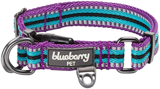 3M Reflective Dog Collars | Adjustable Dog Collar W/Multi-Colored Stripe - Violet and River Blue | Nylon Pet Collars for Dogs & Refflective Dog Collar for Small Dogs