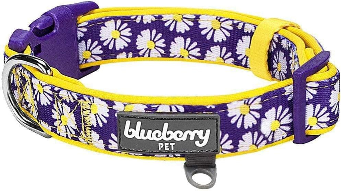 5 Patterns Soft & Comfy Loving Daisy Prints Padded Adjustable Dog Collar, Small, Neck 12"-16"