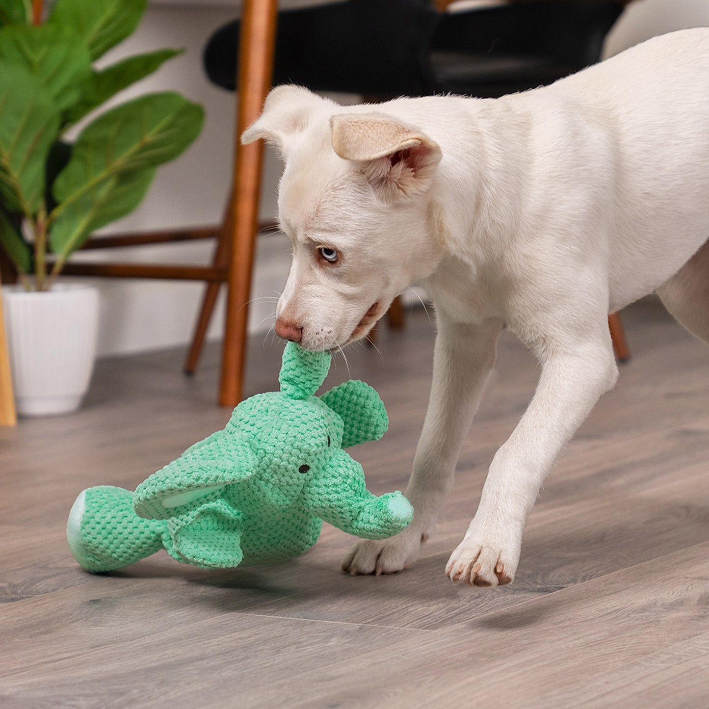 Checkers Elephant Squeaky Plush Dog Toy, Chew Guard Technology - Green, Large