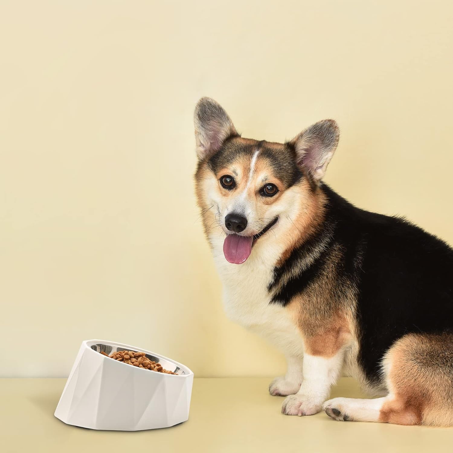 Slanted Dog Bowl for Medium Size Dogs, Tilted Dog Bowls Pet Dishes with Detachable Elevated Stand for Small Medium Dogs and Large Cats, Non-Skid, Non-Slip, Easier to Reach Food, M/2.5Cup, White