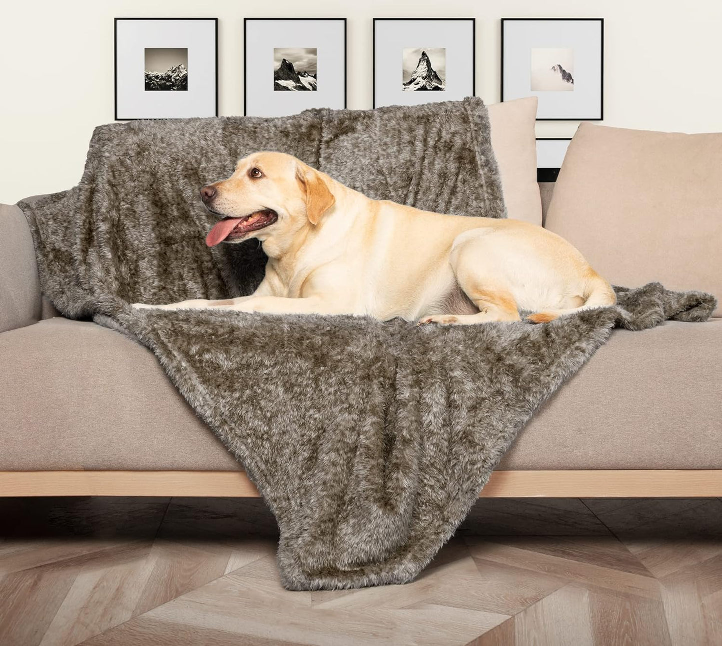 Fluffy Fleece Dog Blankets, Warm Soft Fuzzy Pets Blankets for Puppy, Small, Medium, Large Dogs and Cats, Plush Pet Throws for Bed, Couch, Sofa, Travel (40X60 Inch, Taupe)