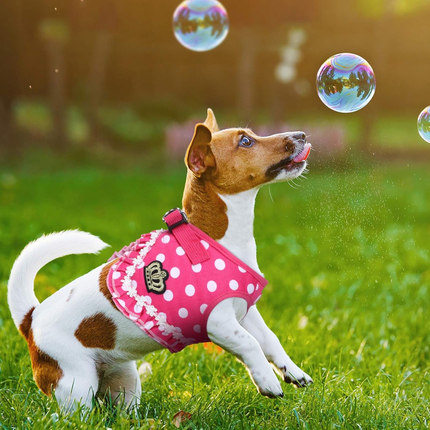 4 Pieces Cute Dog Harness and Leash Set Polka Dots Dog Vest Harness Set with Leash and Bowknot Collar Harness Set for Puppy and Cat (Pink, Black,Small)