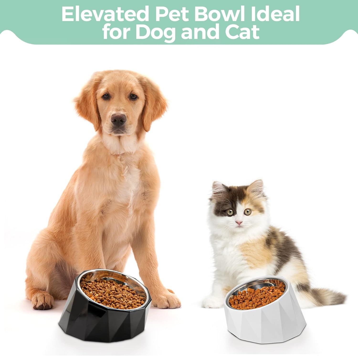 Slanted Dog Bowl for Medium Size Dogs, Tilted Dog Bowls Pet Dishes with Detachable Elevated Stand for Small Medium Dogs and Large Cats, Non-Skid, Non-Slip, Easier to Reach Food, M/2.5Cup, White