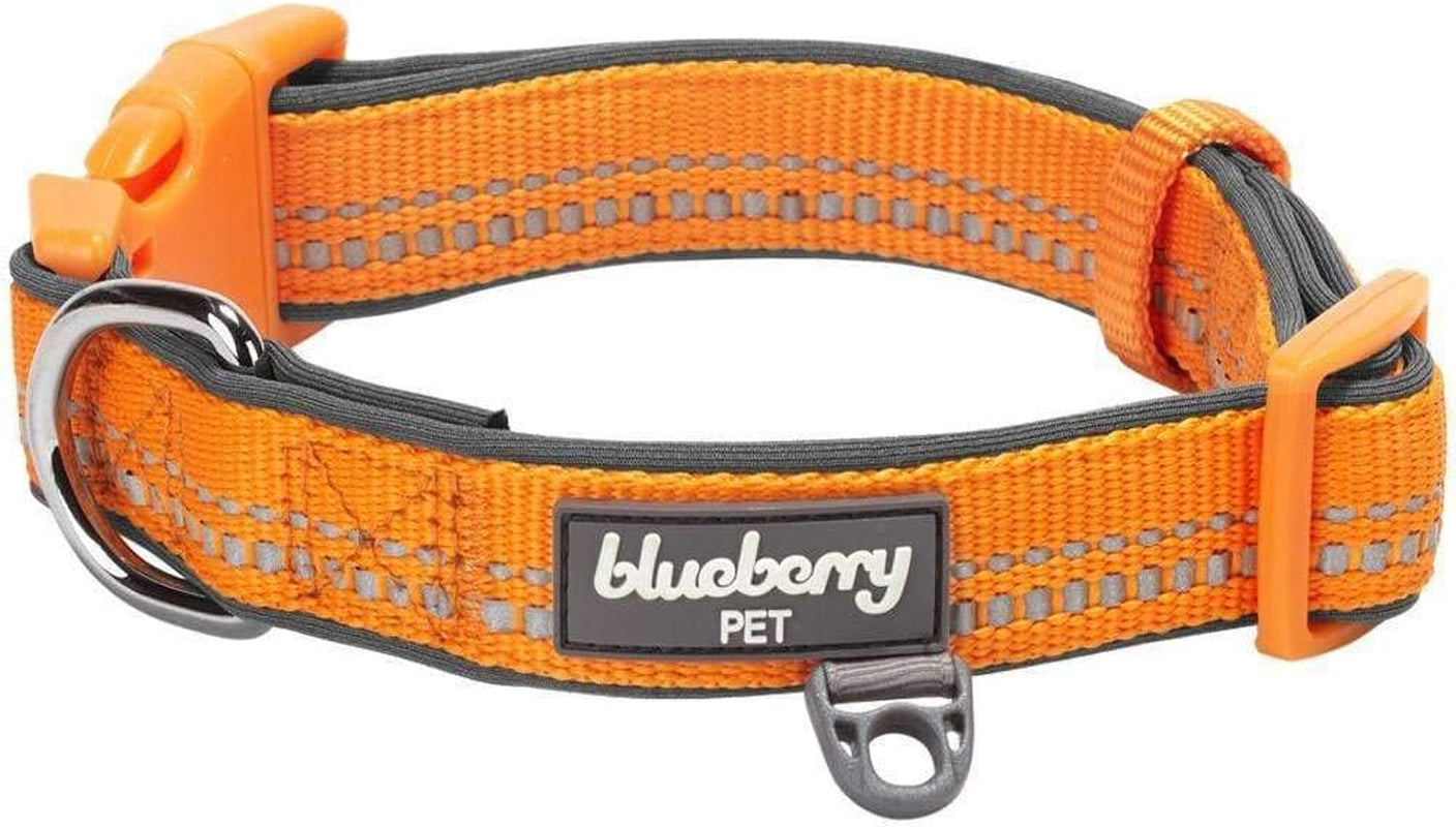 Soft & Safe 3M Reflective Neoprene Padded Adjustable Dog Collar - Orange Peel, Small, Neck 12"-16"