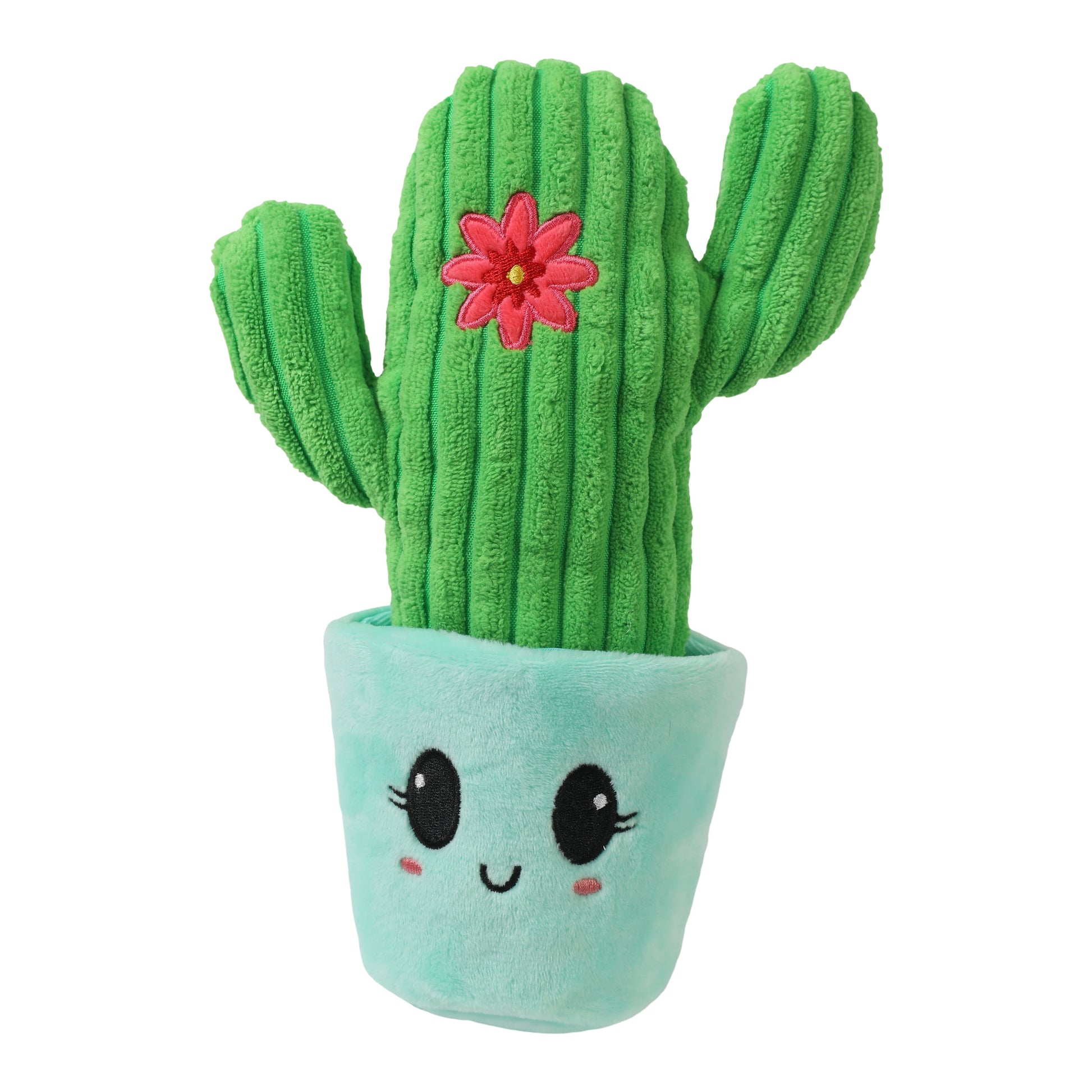 Squeaky Cactus 2 in 1 Pocket Plush Squeaky Dog Toys for Small Dogs