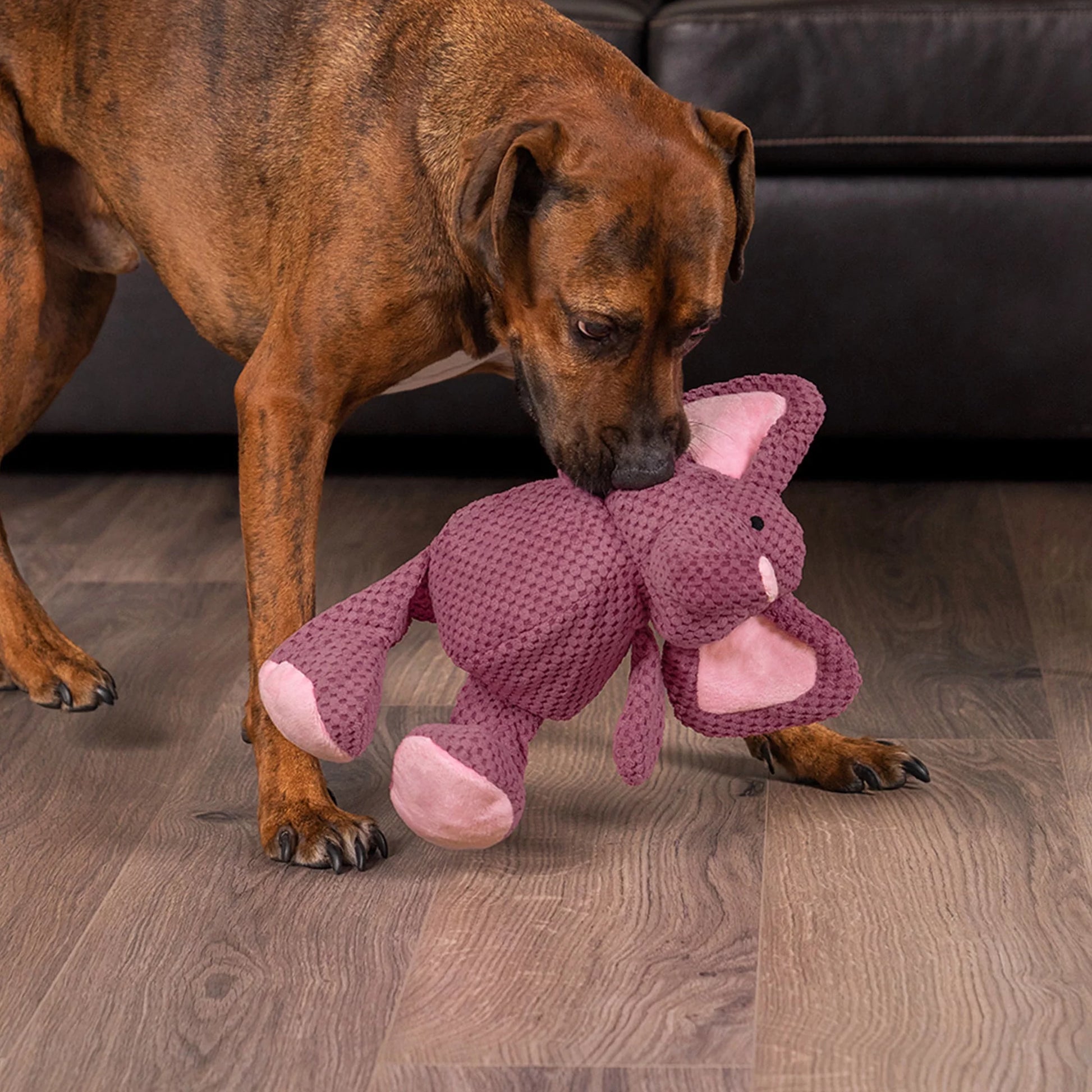 Checkers Elephant Squeaky Plush Dog Toy, Chew Guard Technology - Violet, Large