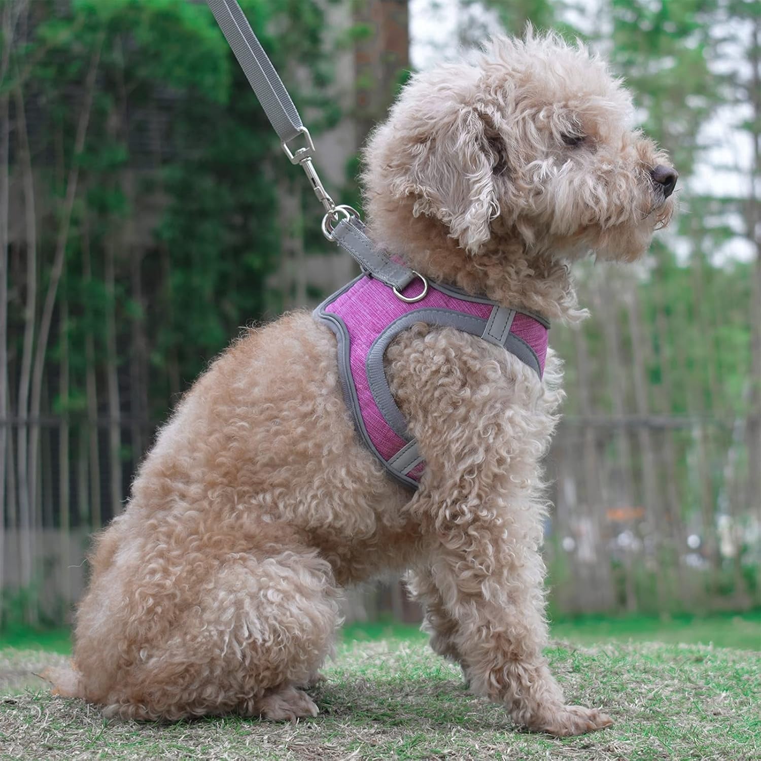 Small Dog Harness, Puppy Harness, Soft Dog Harness and Leash Set with a Reflective Collar for Small Dogs,Comfortable and Reflective Dog Vest Harness, Purple Large