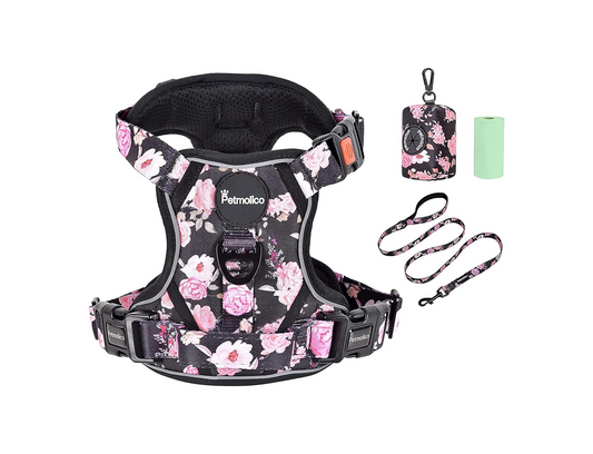 Small Dogs Harness and Leash Set with Poop Bag Holder