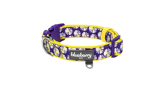 5 Patterns Soft & Comfy Loving Daisy Prints Padded Adjustable Dog Collar, Small, Neck 12"-16"