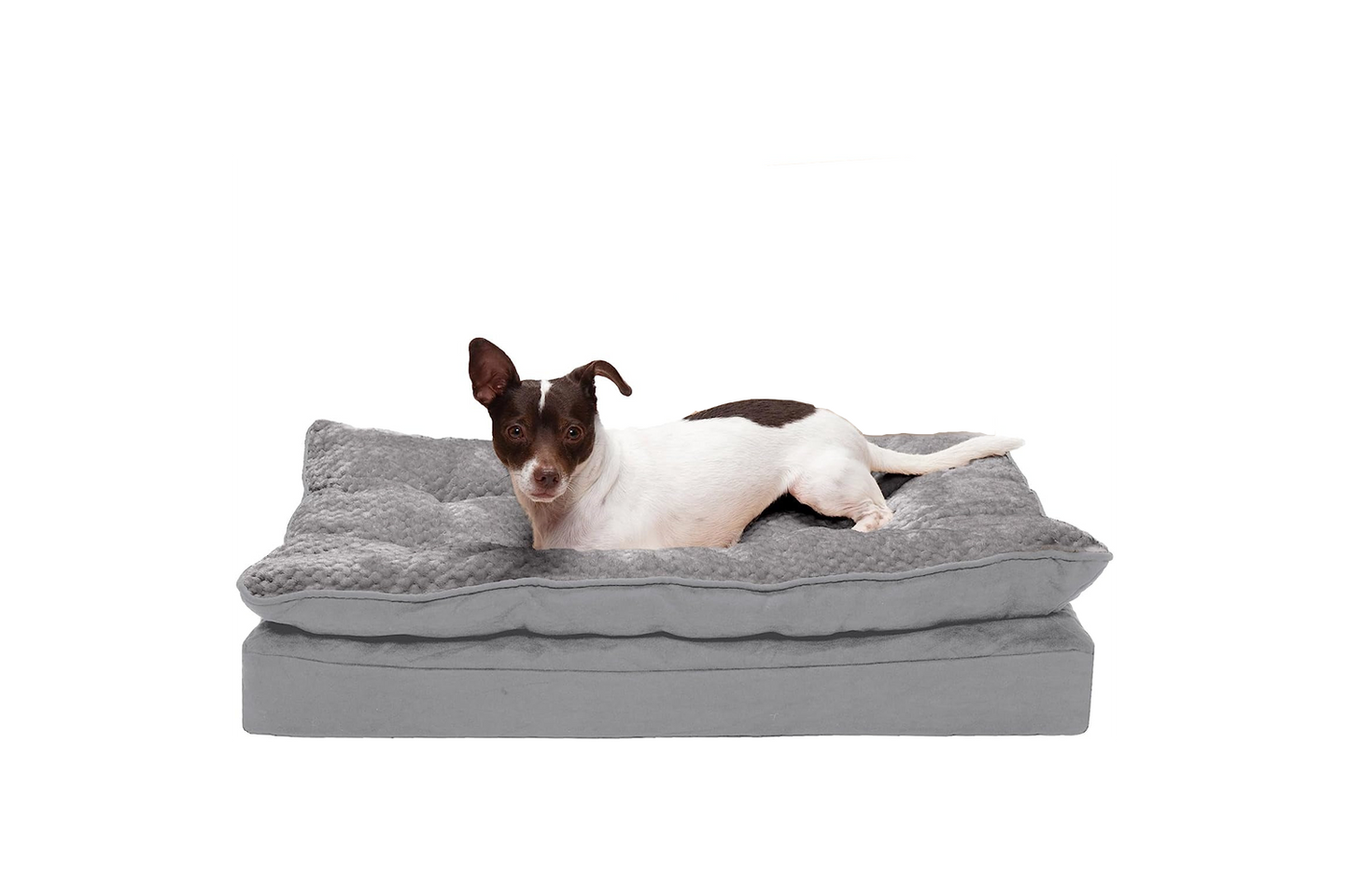 Orthopedic Dog Bed for Medium/Small Dogs W/ Pillow Cushion Top & Removable Washable Cover, for Dogs up to 35 Lbs