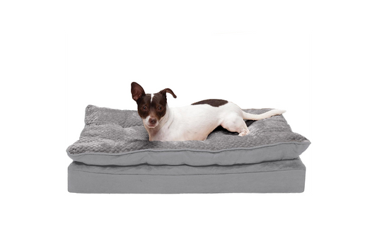 Orthopedic Dog Bed for Medium/Small Dogs W/ Pillow Cushion Top & Removable Washable Cover, for Dogs up to 35 Lbs